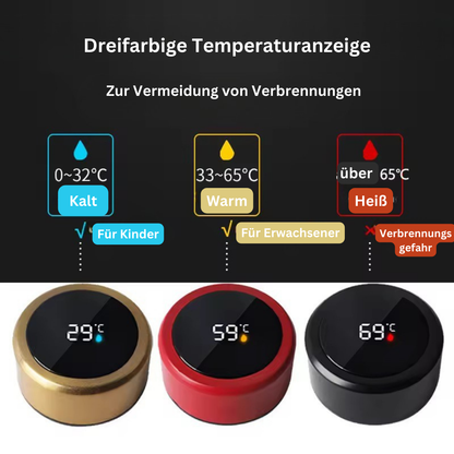 Smart Thermos Bottle with Temperature Display