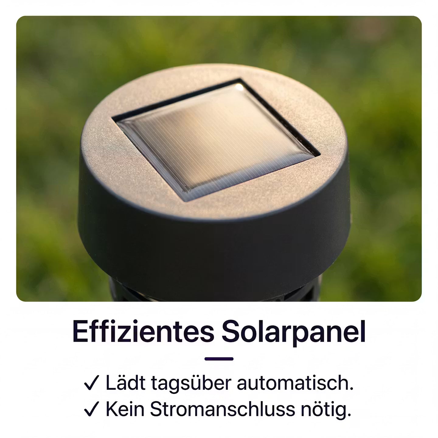 Solar-Powered Mosquito Trap for the Garden & Patio