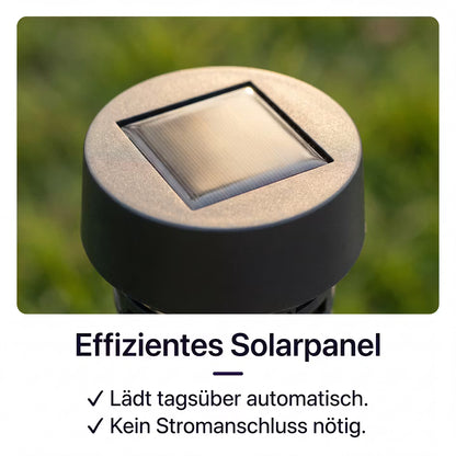 Solar-Powered Mosquito Trap for the Garden & Patio